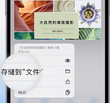 郊区apple维修中心分享iPhone文件应用中存储和找到下载文件