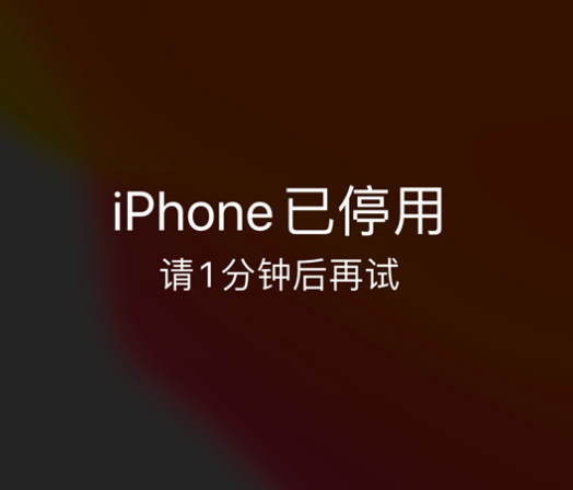 郊区苹果手机维修分享:iPhone 显示“不可用”或“已停用”怎么办？还能保留数据吗？ 