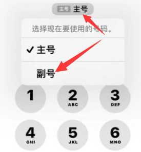 郊区苹果14维修店分享iPhone 14 Pro Max使用副卡打电话的方法 