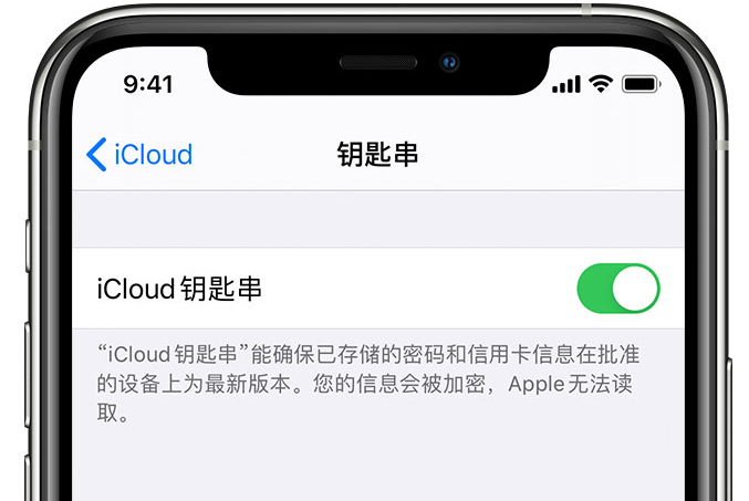 郊区苹果手机维修分享在 iPhone 上开启 iCloud 钥匙串之后会储存哪些信息 